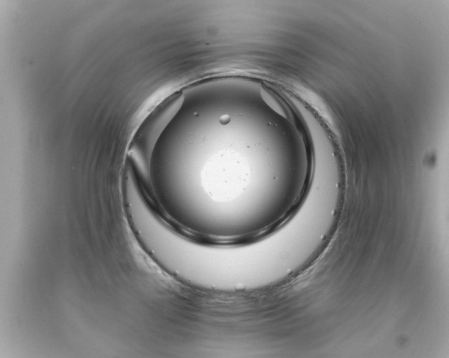 X0000094181338200711020956