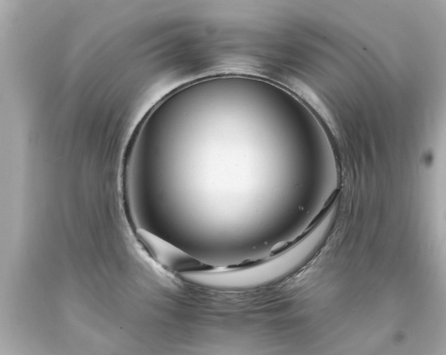 X0000094181339200711020956