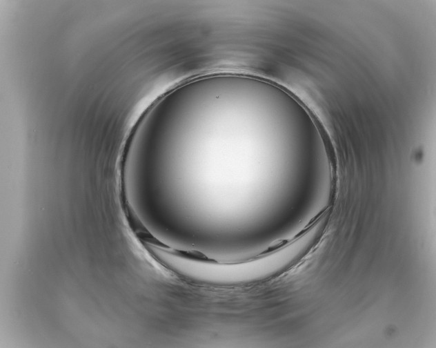 X0000094181341200711020956
