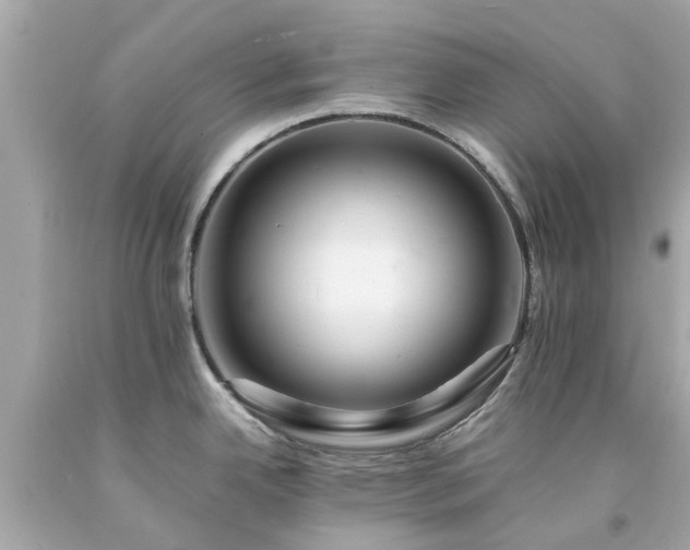 X0000094181342200711020956
