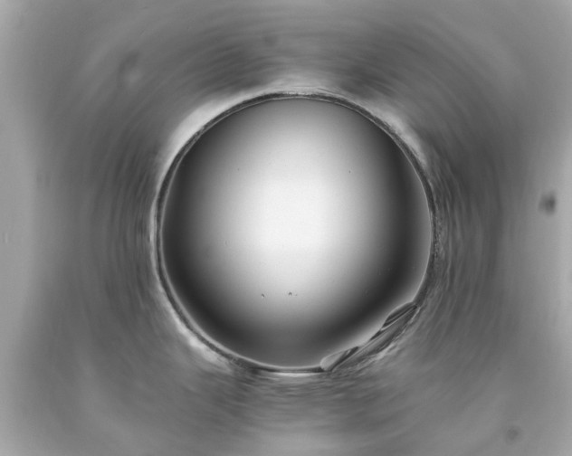 X0000094181343200711020956