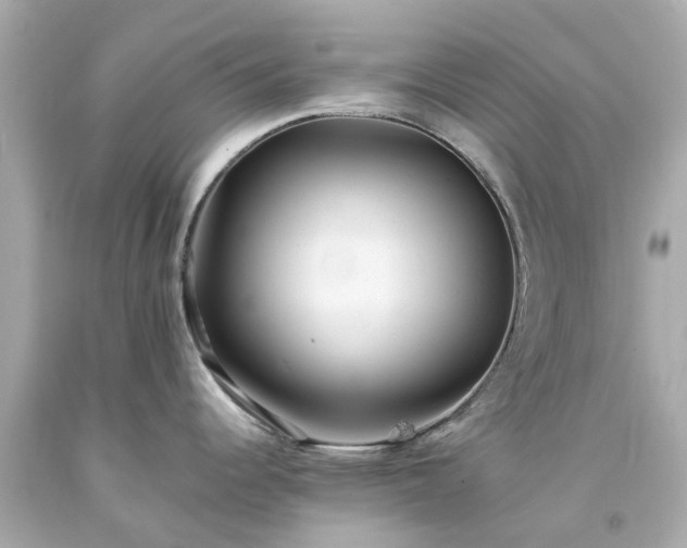 X0000094181344200711020956