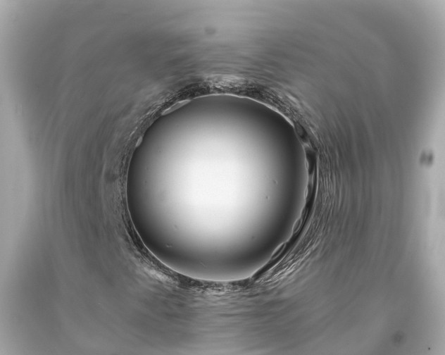 X0000094181345200711020955