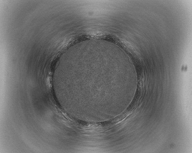 X0000094181346200711020955