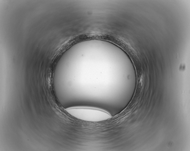 X0000094181348200711020955