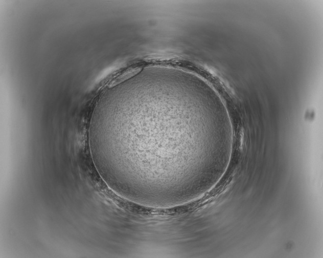 X0000094181350200711020955