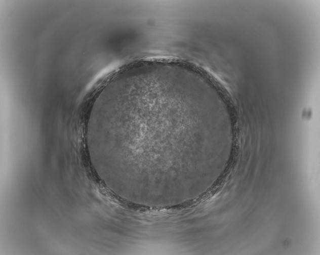 X0000094181351200711020955