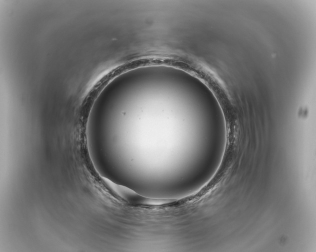 X0000094181352200711020955
