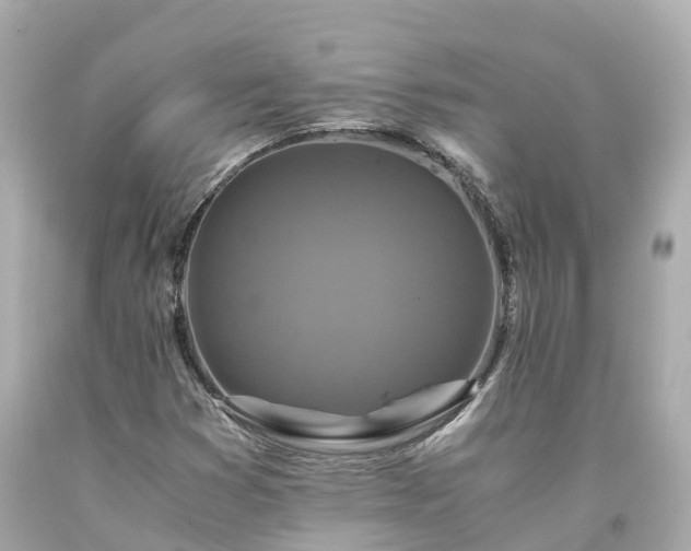 X0000094181353200711020955