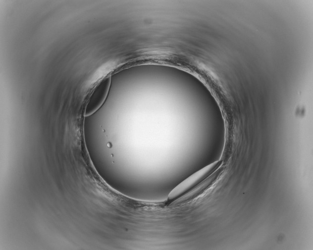 X0000094181354200711020955