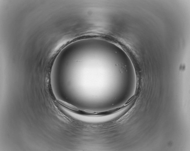 X0000094181355200711020955