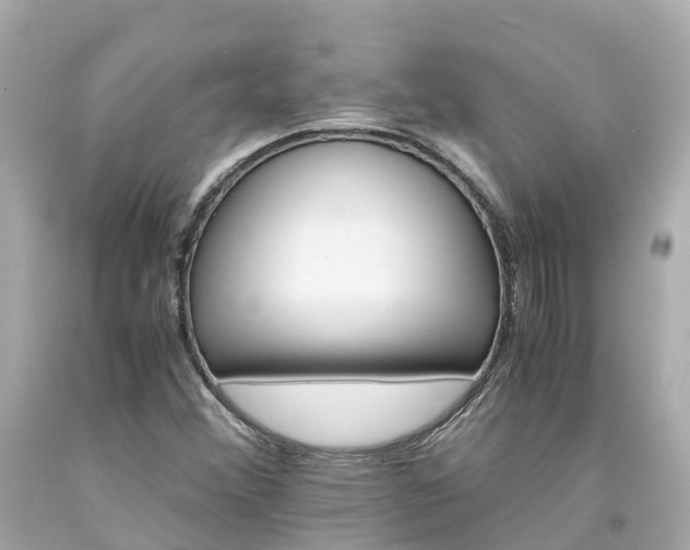 X0000094181356200711020955