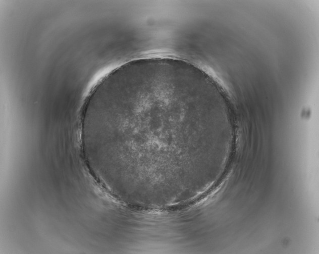 X0000094181358200711020955