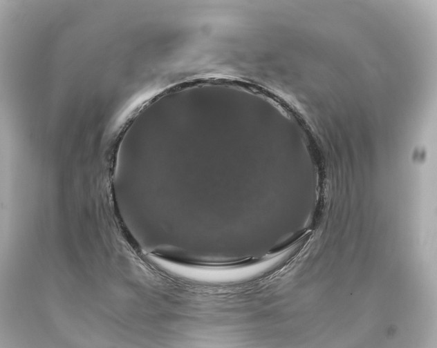 X0000094181359200711020955