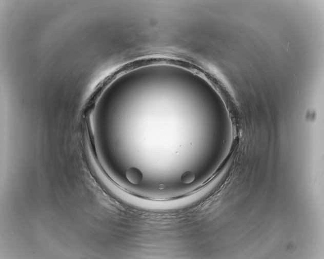 X0000094181360200711020955