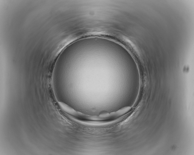X0000094181361200711020955