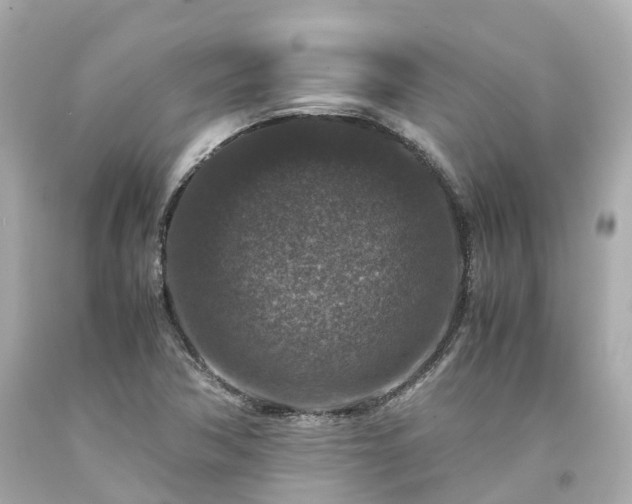 X0000094181362200711020955