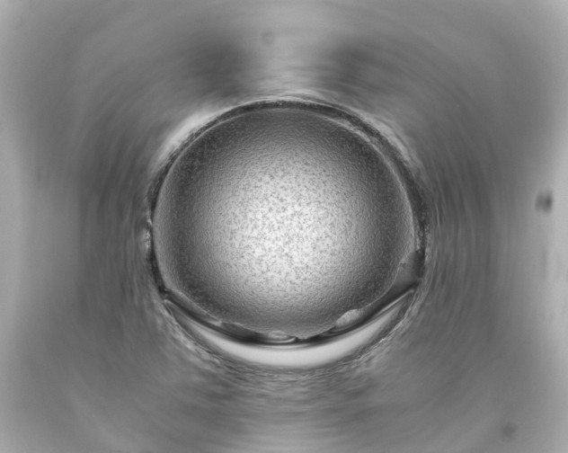 X0000094181363200711020955
