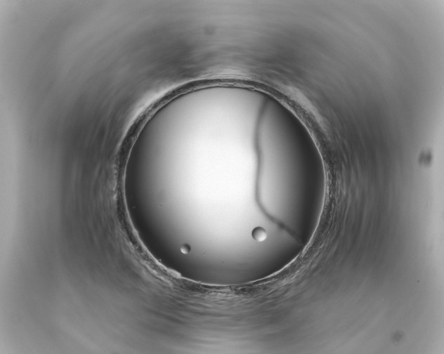X0000094181364200711020955