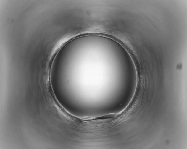 X0000094181366200711020955