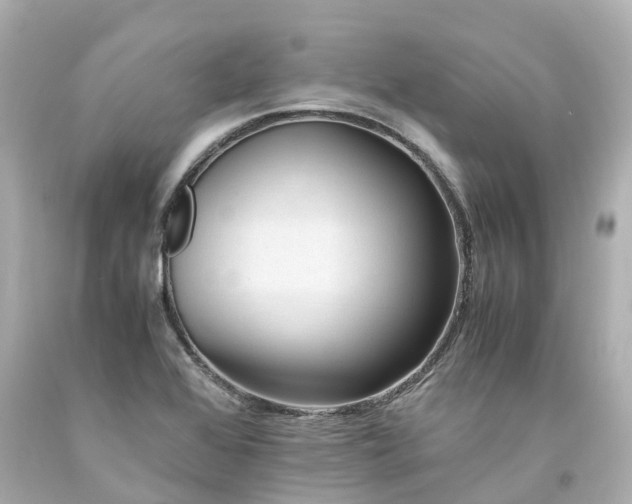 X0000094181368200711020955
