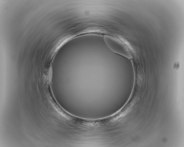X0000094181369200711020955