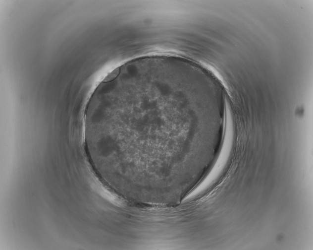 X0000094181371200711020955