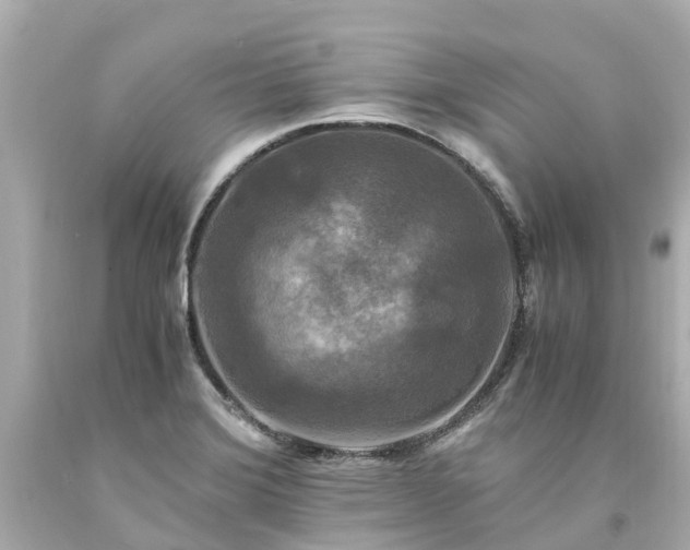 X0000094181372200711020955