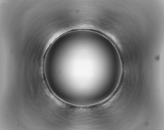 X0000094181374200711020955