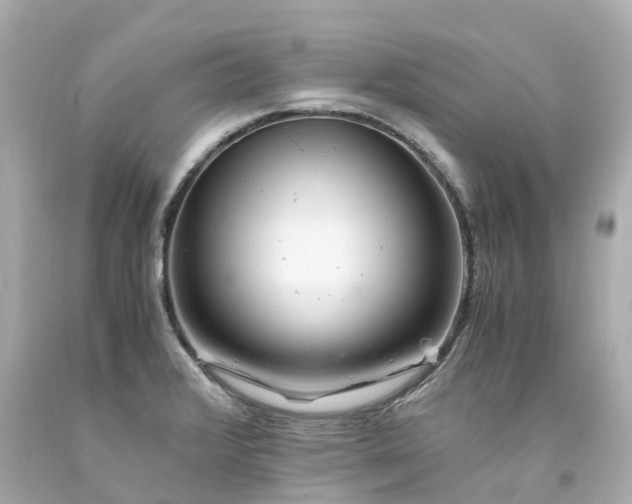 X0000094181376200711020954