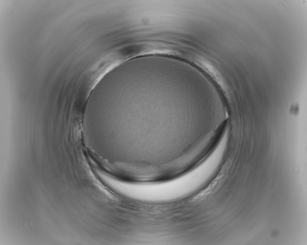 X0000094181377200711020954