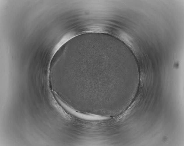 X0000094181378200711020954
