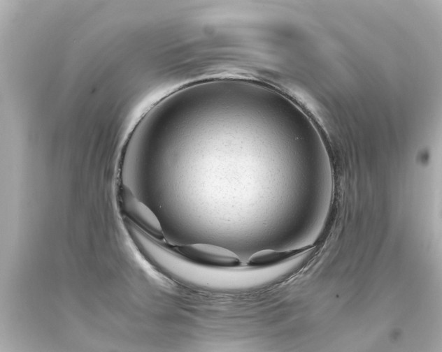 X0000094181379200711020954