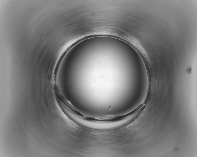 X0000094181380200711020954