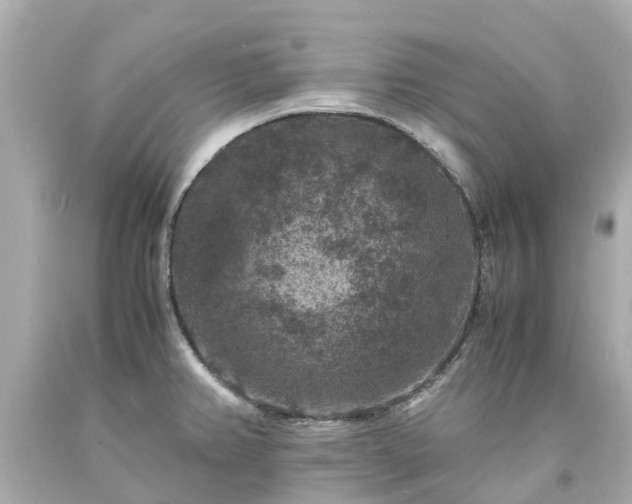 X0000094181382200711020954