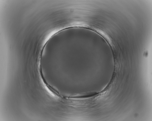 X0000094181383200711020954