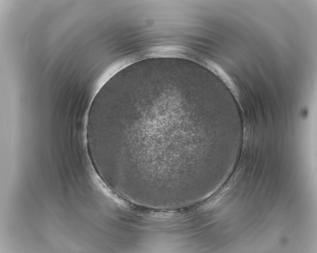 X0000094181386200711020954