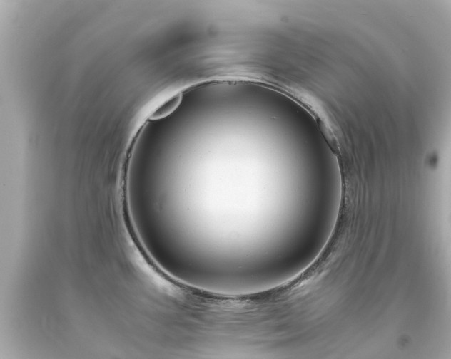 X0000094181387200711020954