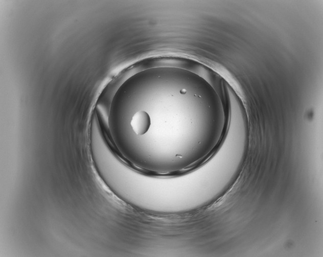 X0000094181388200711020954