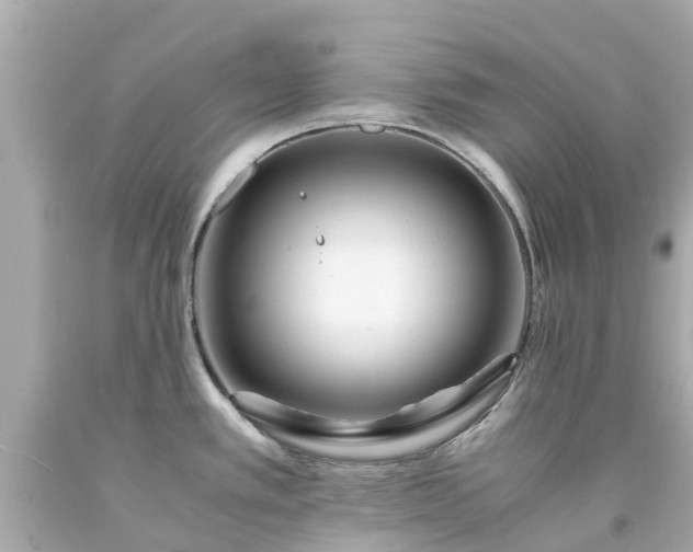 X0000094181389200711020954