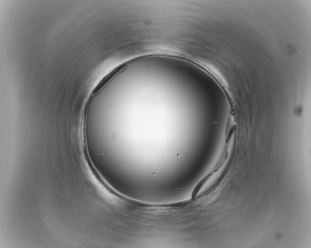 X0000094181391200711020954