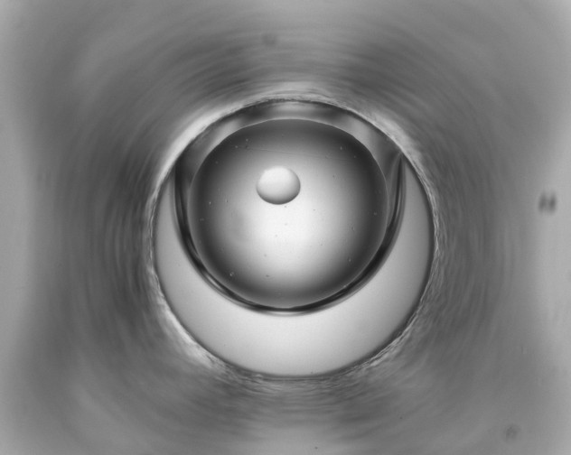 X0000094181392200711020954