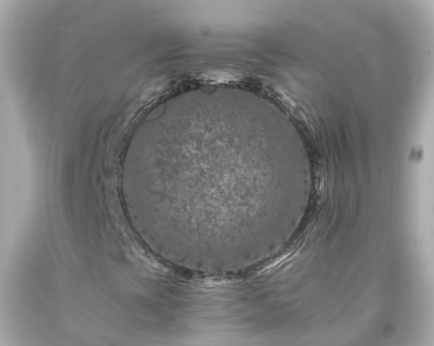 X0000094181393200711020954