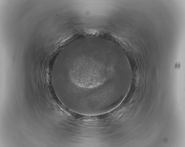 X0000094181394200711020954