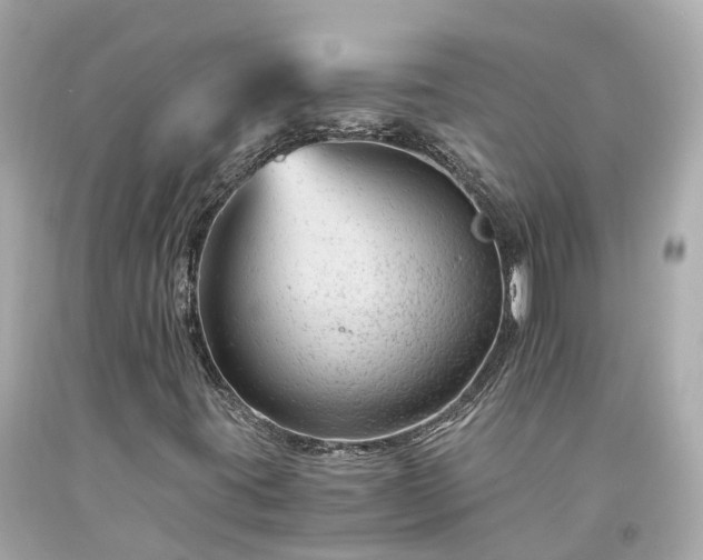 X0000094181395200711020954