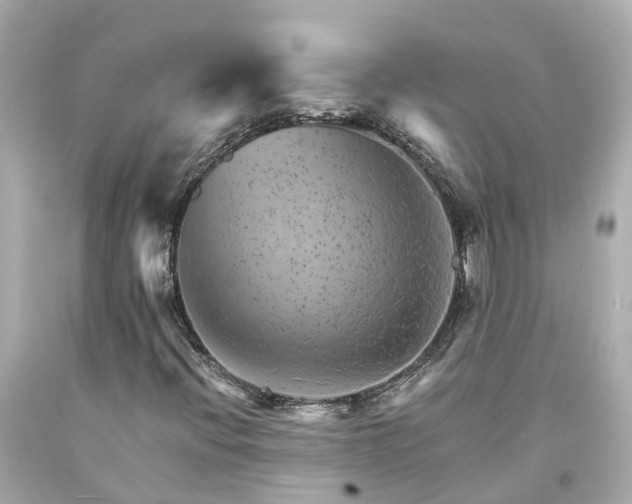 X0000094181396200711020954