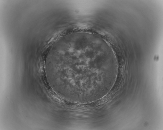 X0000094181397200711020954
