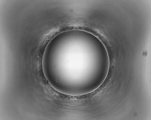 X0000094181398200711020954