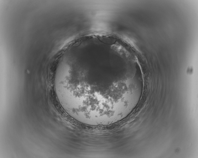 X0000094181399200711020954
