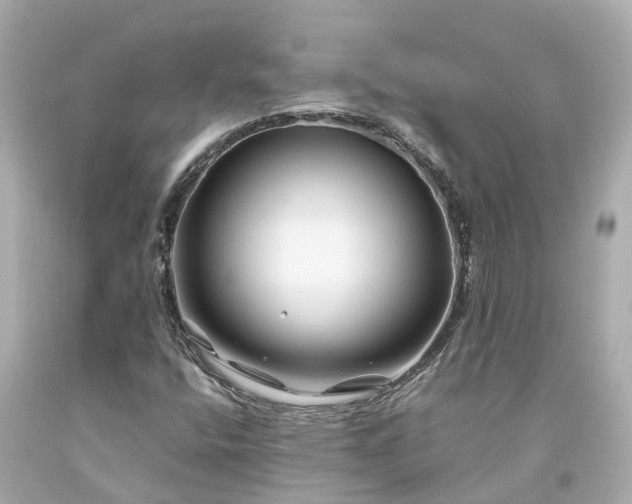 X0000094181400200711020954